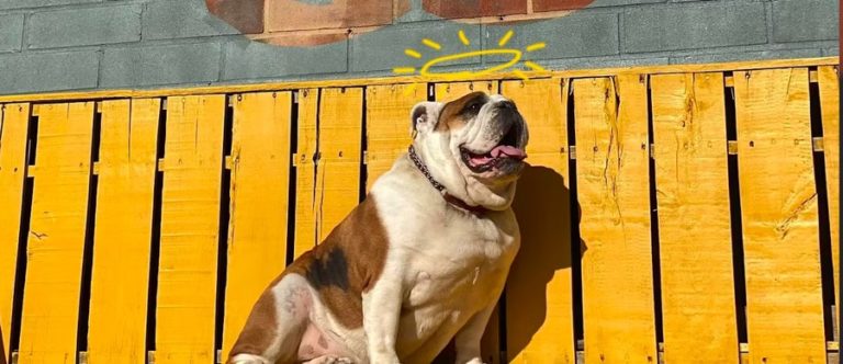 Crown Station Gallery 4 768x332